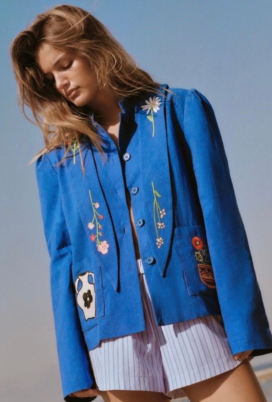 Zara Bluish Floral Embroidered Jacket Folk Art Cactus Strawberry Ref 4786/207